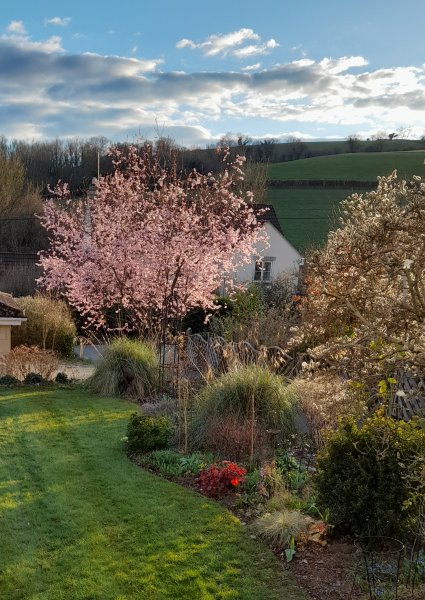 20250315_171359 - Copy.jpg