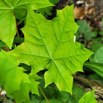 20250427_162902 (1).jpg