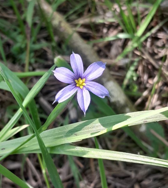 20250515_152434 (1).jpg