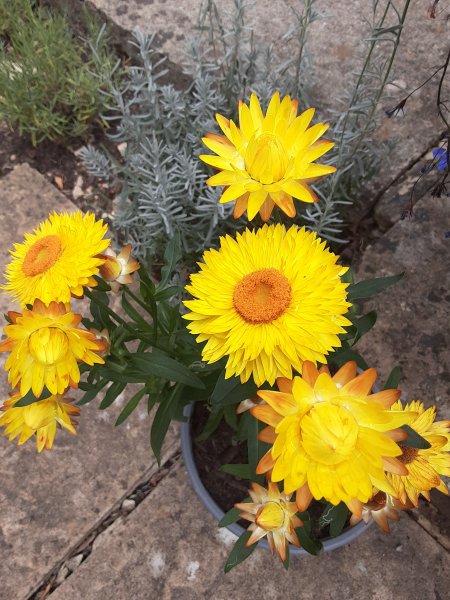 20250821_145832 (1).jpg