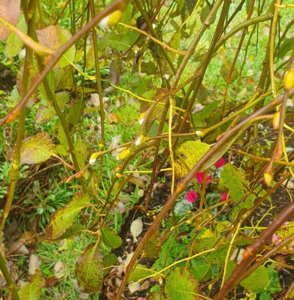 20251019_113715 - small.jpg