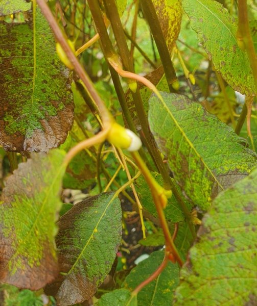 20251019_113725 - a - small.jpg