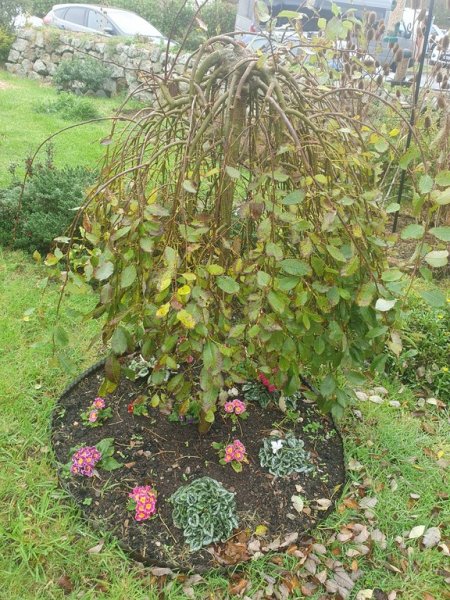 20251019_113811 - small.jpg