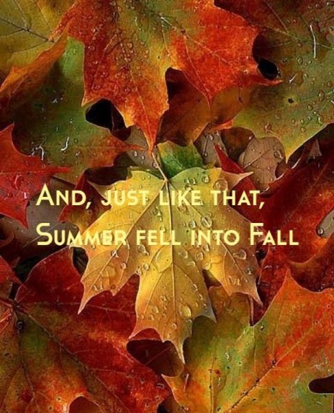 202813-And-Just-Like-That-Summer-Fell-Into-Fall.jpg
