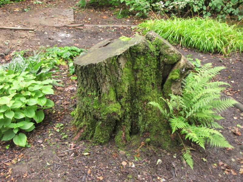 21-Jul-10 3-30-36 PM.JPG