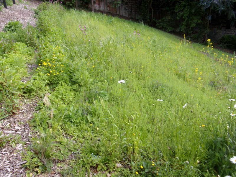 22 May 2022_0001.JPG