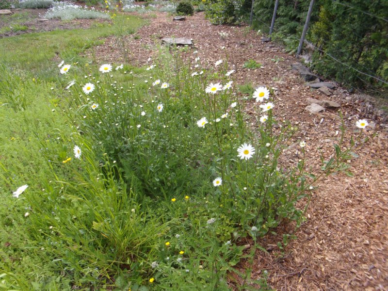 22 May 2022_0002.JPG