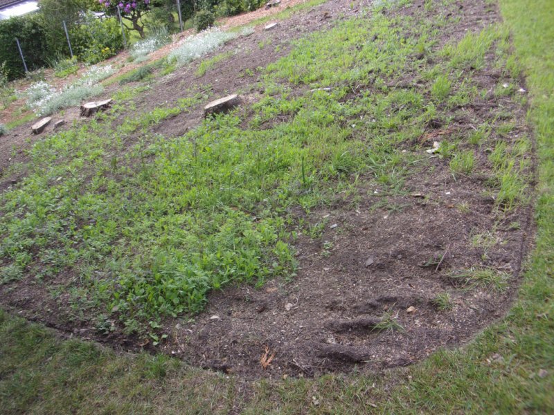 22 May 2022_0004.JPG