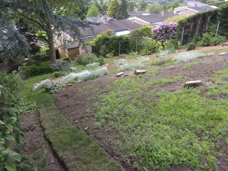 22 May 2022_0005.JPG