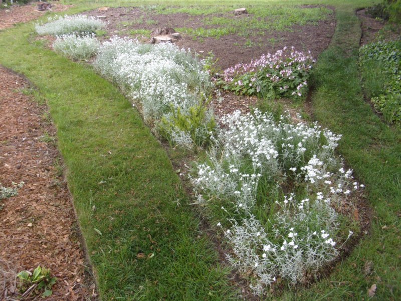 22 May 2022_0006.JPG