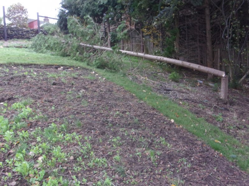 23 Nov 2023_0003.JPG