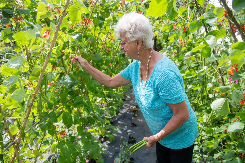 230720 Gardening_Beans-122.jpg