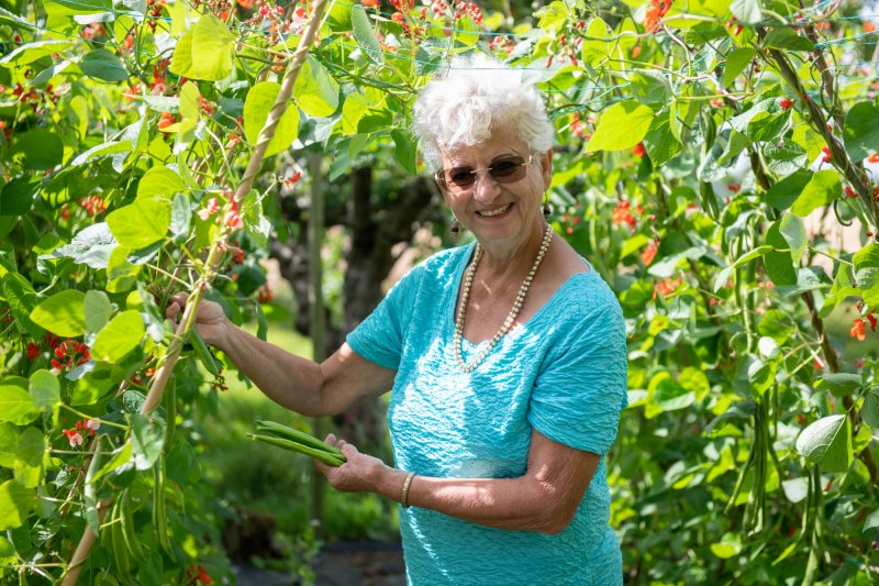 230720 Gardening_Beans-146.jpg