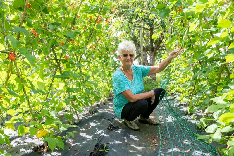 230720 Gardening_Beans-55.jpg