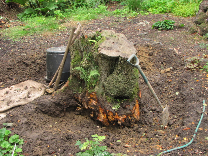 24-Jul-10 11-14-39 AM.JPG