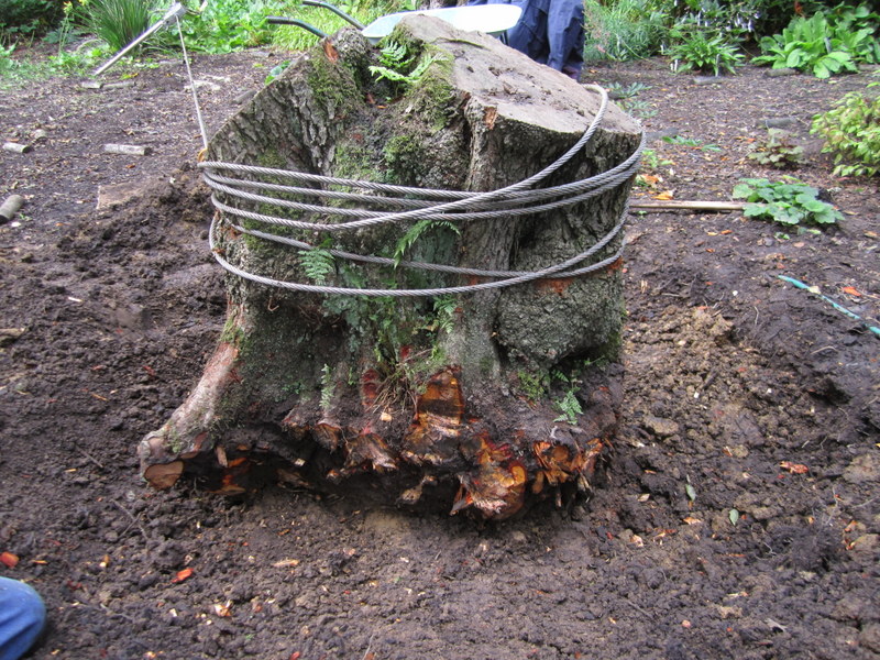 24-Jul-10 4-00-42 PM.JPG