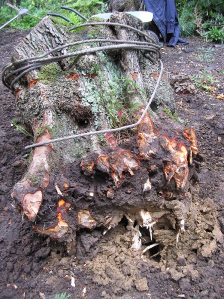 24-Jul-10 4-22-16 PM.JPG