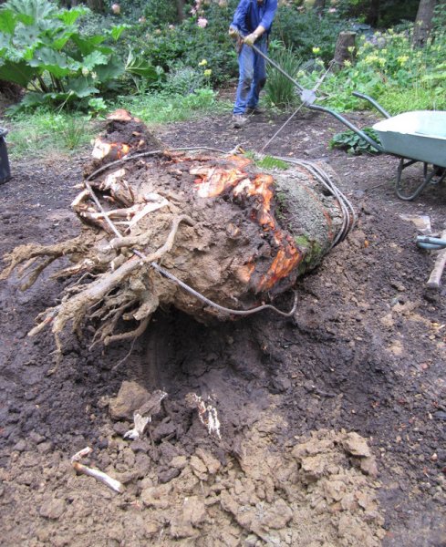 24-Jul-10 4-28-049.JPG