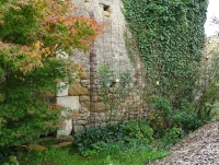 251105 ruin rusty trellis.JPG