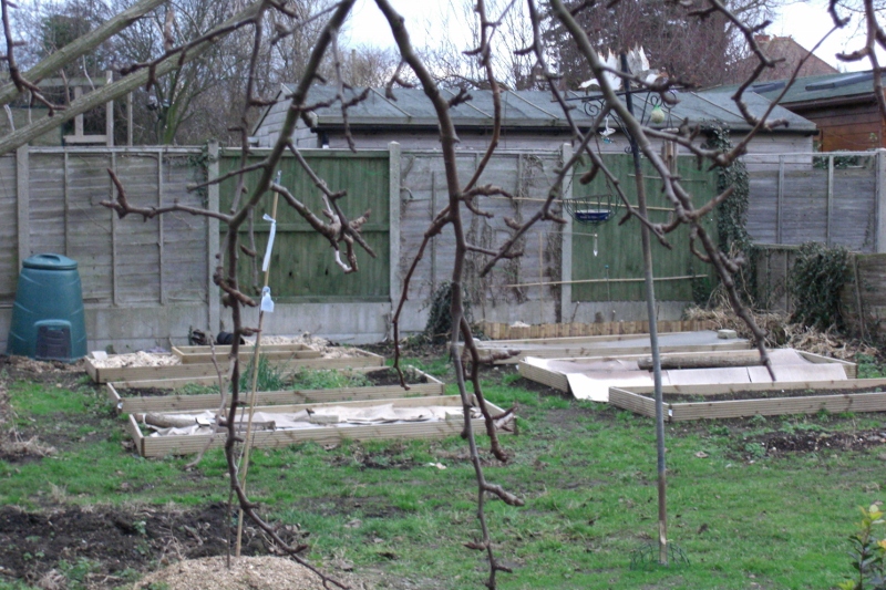 26 Feb 12 013 (800x533).jpg