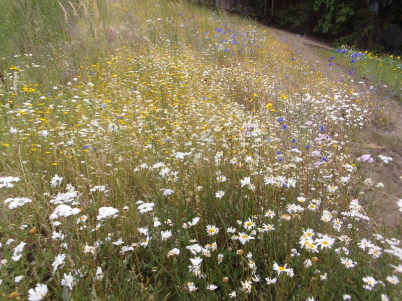 26 July 2022_0005.JPG