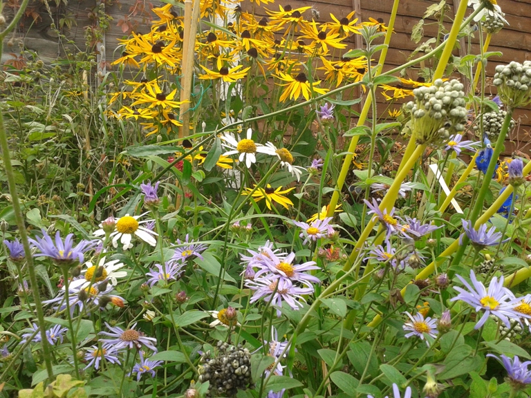 27-09-2012garden (6).jpg