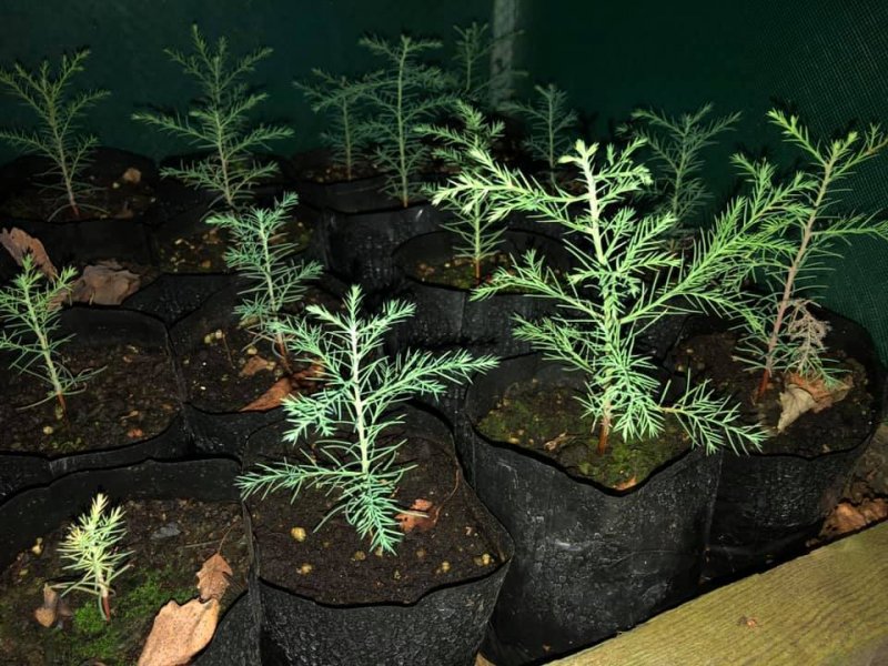 27 DECEMBER 2018.jpg