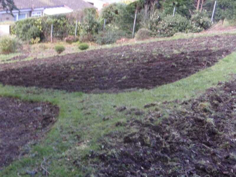 29 Dec 2023_0003.JPG