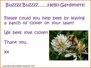 299xNxWeBeesLoveClover.jpg.pagespeed.ic.rZrpczp1zX.jpg