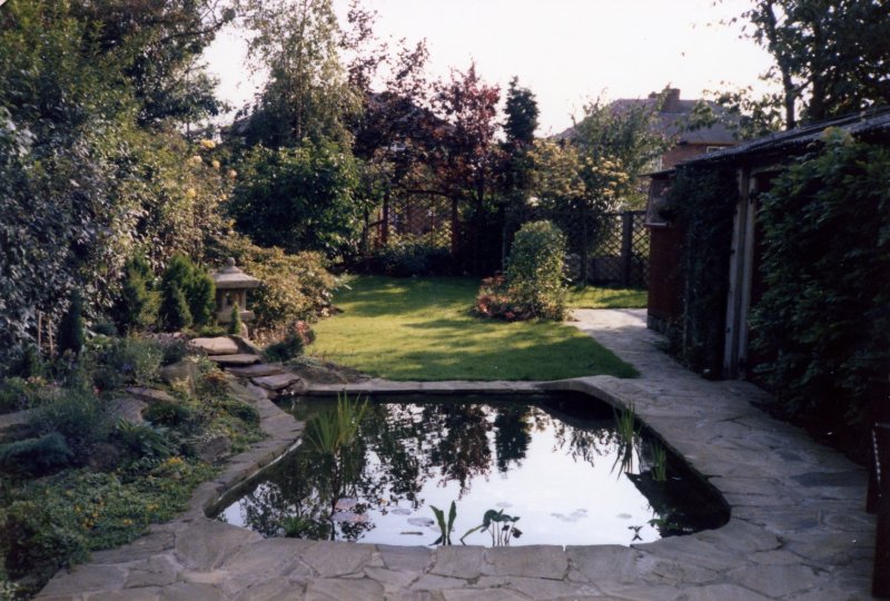 2nd_pond_2.jpg