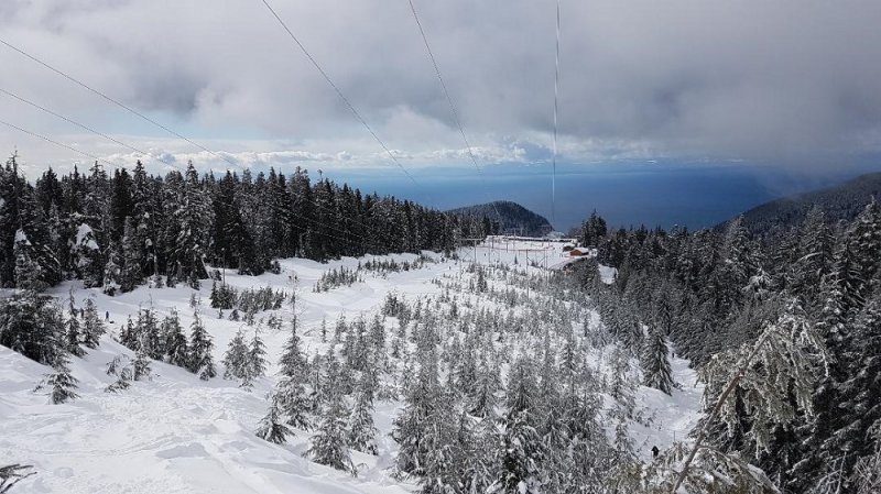 3 Hollyburn Mountain.jpg