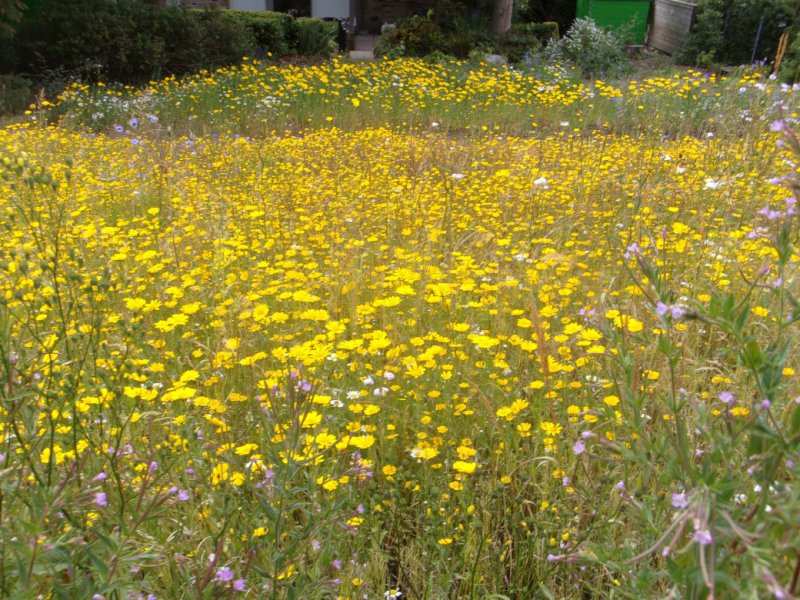 3 July 2022_0006.JPG