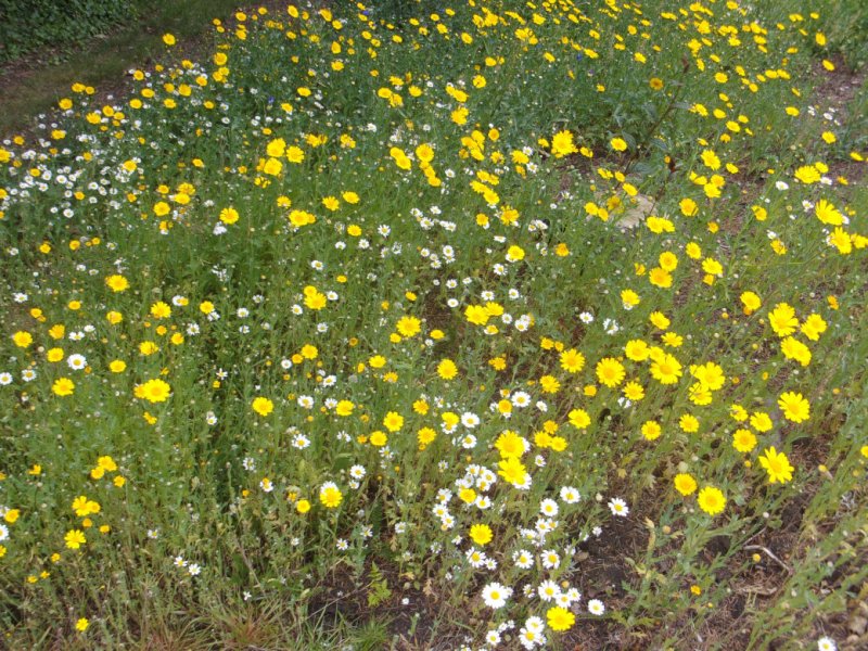 3 July 2022_0009.JPG