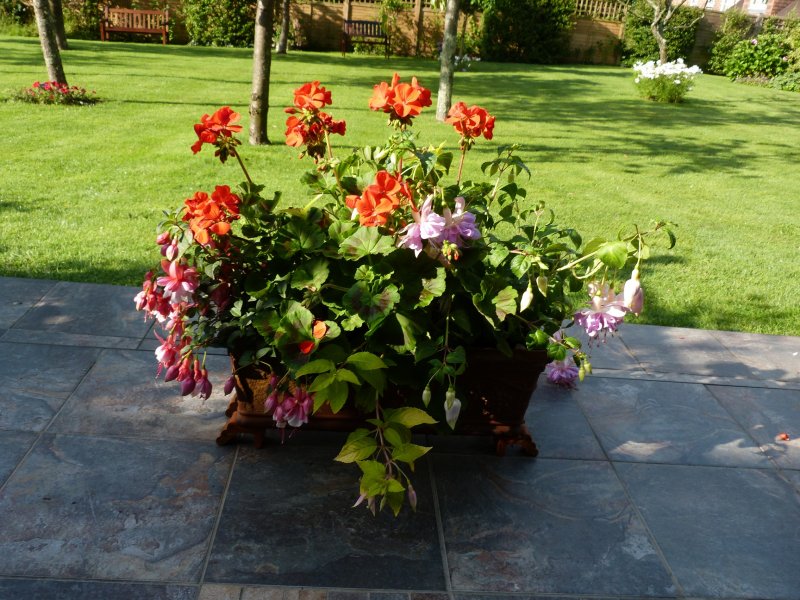 3 Troughs today  6 August 2012 001.JPG