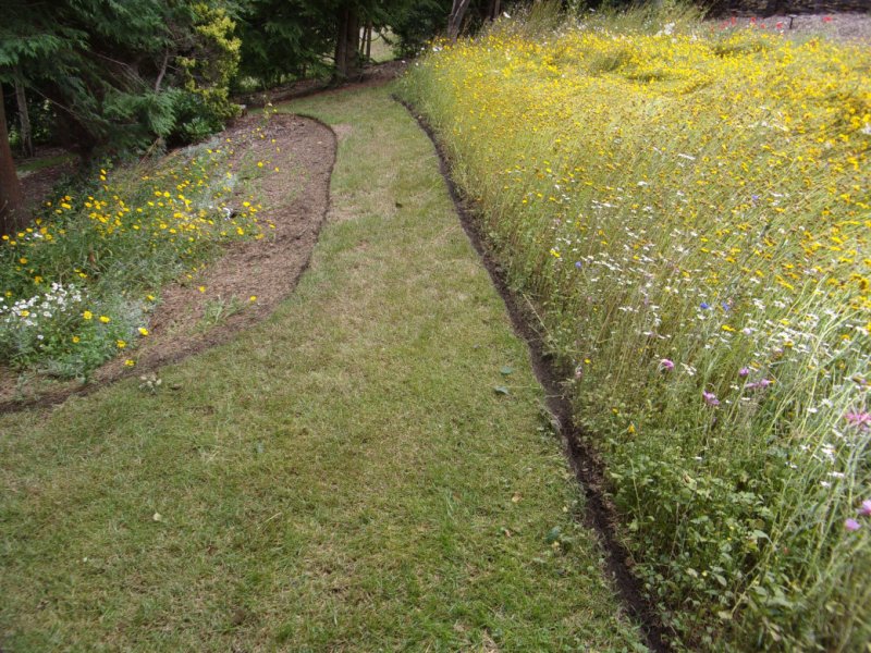 31 July 2021_0004.JPG