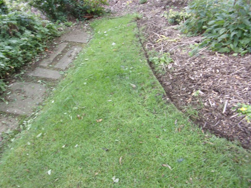 31 July 2021_0006.JPG