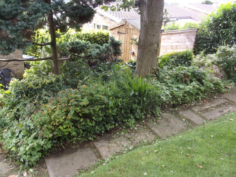 31 July 2021_0009.JPG