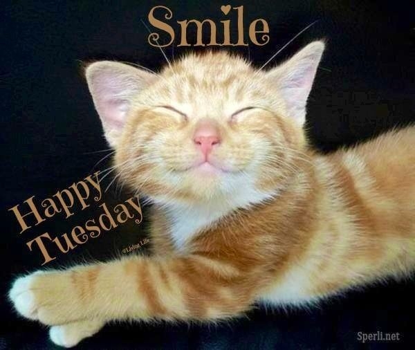 48996-Smile-Its-Tuesday.jpg