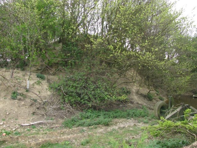 5463 Boring Field (1) © Kevin Ryder.jpg