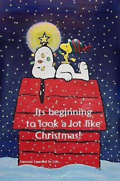 5f5cab32dff612838f206bf37cdf1cad--christmas-snoopy-charlie-brown-christmas.jpg