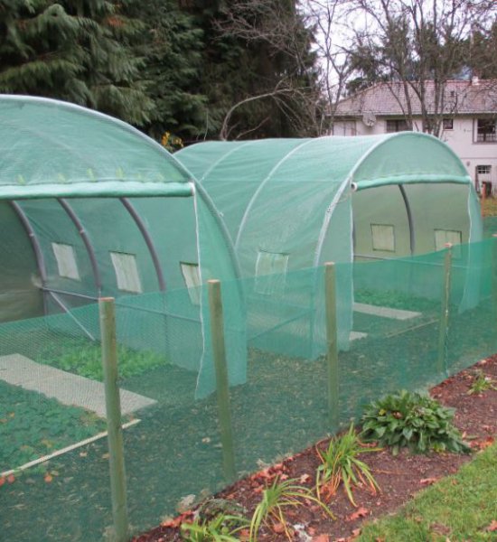 6_greenhosues.JPG