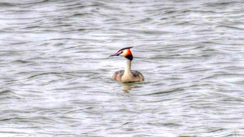 _1050207_Painterly 2.jpg