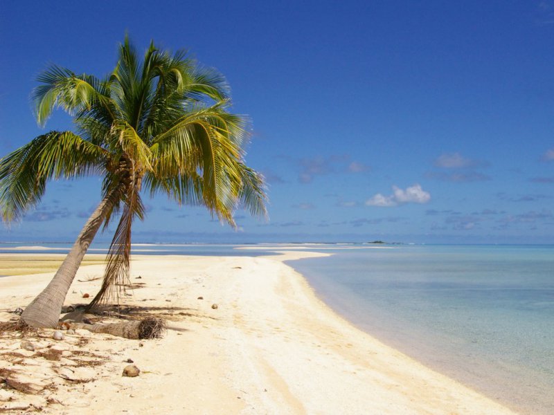 ___ the guest discusses ‘what they would bring to a desert island.jpg