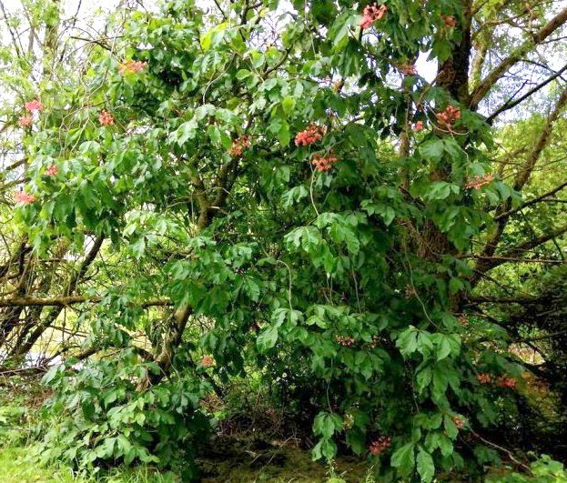 a 17-07-2022 18-18-015.jpg