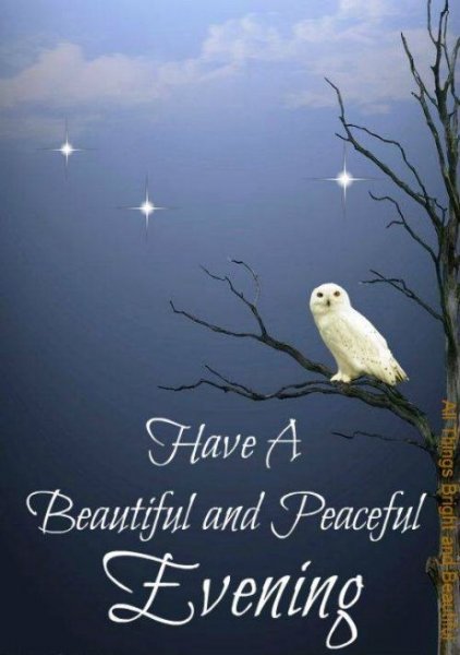 A Beautiful evening.jpg