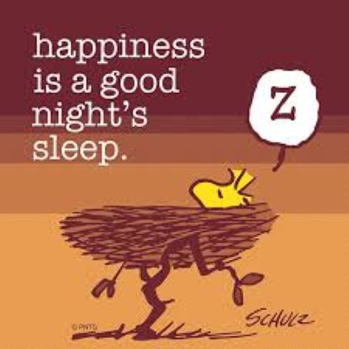 A good night's sleep.jpg