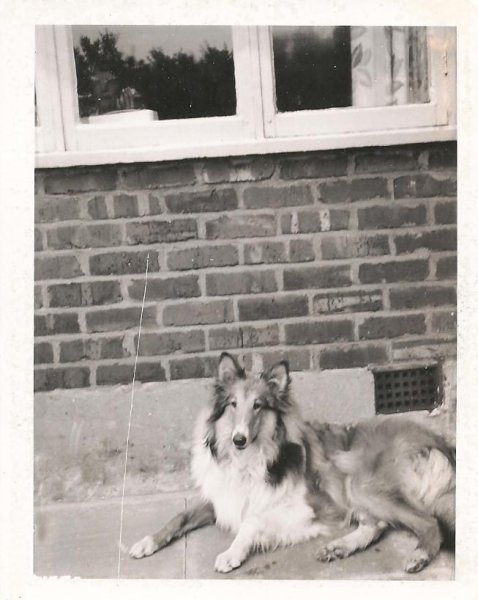 A75CD41F-81FC-41A5-B088-F9D2EE11BC4DLaddie 2 002.jpeg