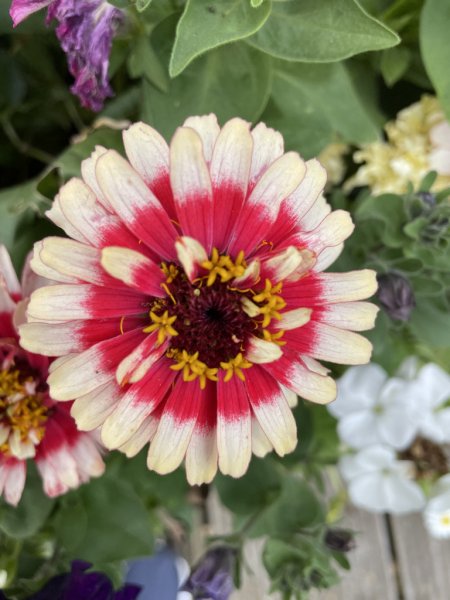 A8790D8B-0F3D-416C-AFFA-54806259ED55_1_105_c copy.jpg