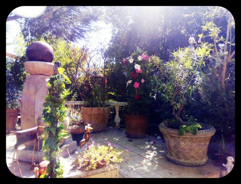 Across the Dacefloor 17 Sep 21.jpg