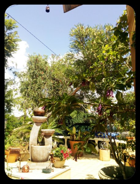 Across the Dance Floor 9 May 21.jpg